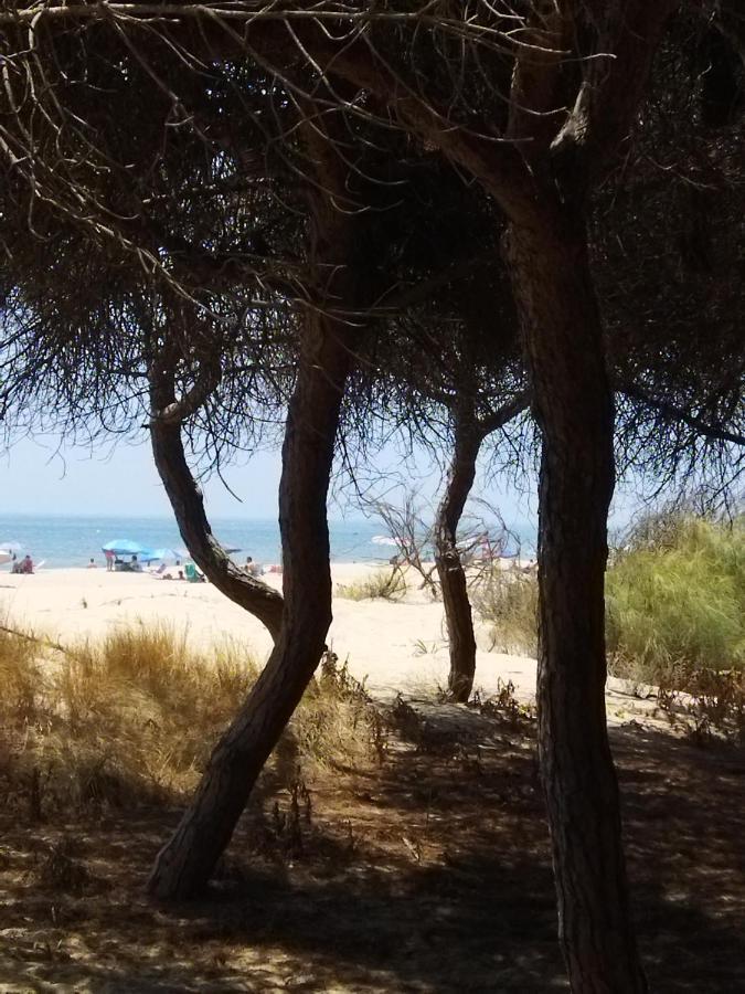 Sol Y Mar Villa อิสลา กริสตินา ภายนอก รูปภาพ